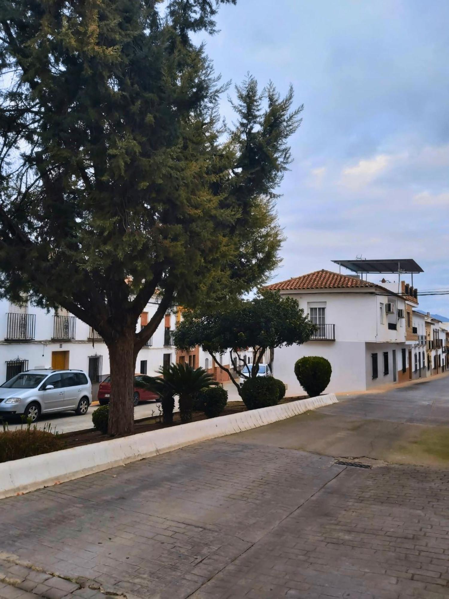 Arcadia Centro De Andalucia Villa Encinas Reales Екстериор снимка